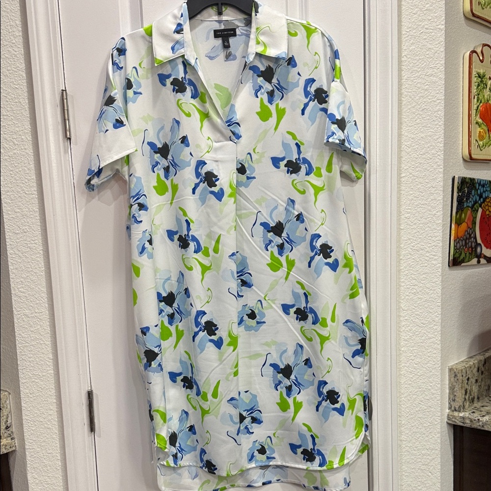 The Limited Blue and Green Floral Dress